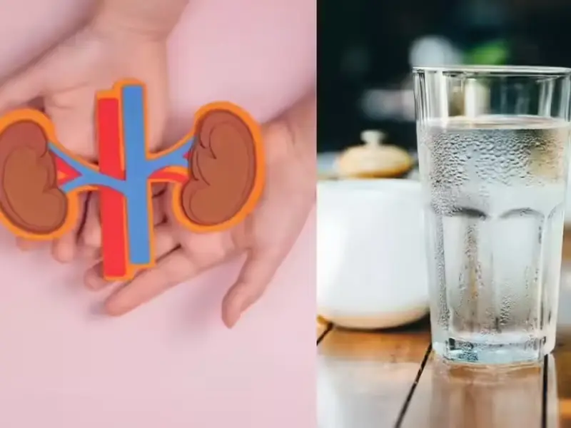 آیا نوشیدن آب به سلامت کلیه کمک میکند؟ چرا آب دماوند انتخاب خوبی است؟