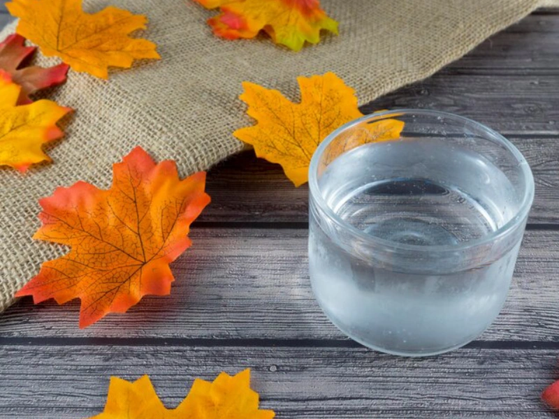 چقدر آب در پاییز بنوشیم؟ برنامه هیدراتاسیون در هوای خنک چقدر آب در پاییز بنوشیم؟ برنامه هیدراتاسیون در هوای خنک